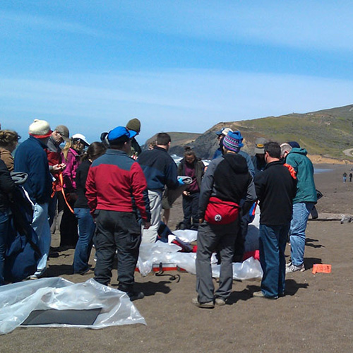 Workers at a beach examining materials washed up on shore.